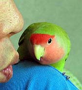 �ςς��`�A�ɂ��͂Ȃ��񂾂悧�`