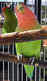 �E�E�E���˂ނɂȂ�����������`�B�B