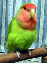 ���S�z�A���������܂������B