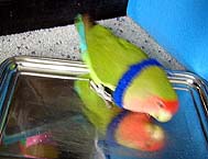 ���႟�`�`�`������ꂽ���I�I