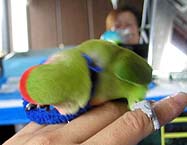 �˂��`�`�`���ʐ^�B���ĂȂ��ŁA�������ā`�I