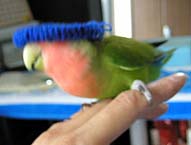 ����Ⴄ�����I