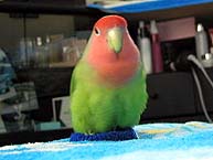 �������������`�I(�M�L�j