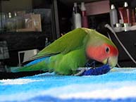 ����ˁA�J�~�J�~����Ƃ������낢�񂾂��`��