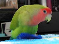 �����A�݂��[������