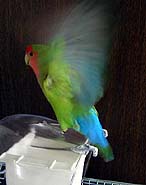 �Ȃ��[��Ń_���Ȃ́`�I�I