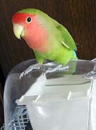 �܂܂��A����ڂ��́H�H�H