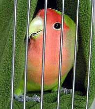 ����������A�����ɓ����ĂȂ������ā`