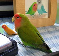 �݂�Ȃ́A���ނ��Ȃ��̂��H