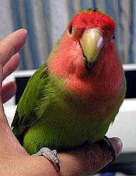 �����́A��ꂽ�ˁ`