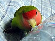 �ł��ł��E�E�E