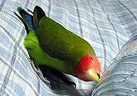 �K�W�K�W�K�W�E�E�E�E�E