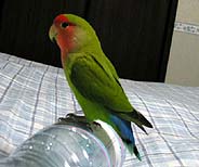 �����ƁA��ꂿ�������