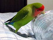 ������ق����������낢�Ȃ��B�B