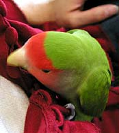 �܂܂̂��m���`�K�W�K�W�K�W�E�E�E