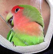 �Ȃ�Ƃ������Ă悧�`�I