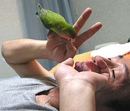 �ςς��`�A�A�A�������`�I