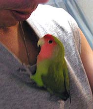 �ςρA�ςς��I�����ς������ڂ��I