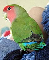 �ڂ��ɂ́A�悭�킩��Ȃ���B