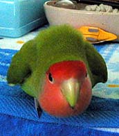 �}�}�`�A�s���悧�[�I�I