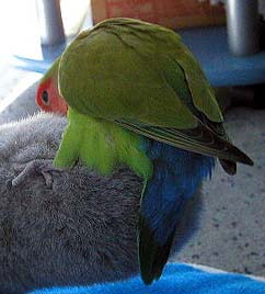 ���񂾂�����E�E�E�X���X���X���`