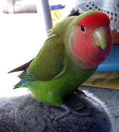 �܂܂��A�Ȃ�ŃG�O�G�O������_���Ȃ́H