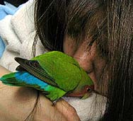 �r�����A�Ђ����Ԃ�ł���`(^�E^)