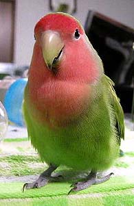 ���C��A���炦������I