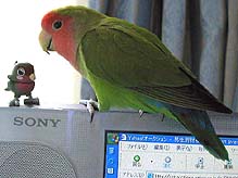 ���̂ˁA�[�ׂ����ς��������񂶂�����񂾁I