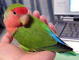 �����Ńl���l����񂾂���E�E�E�N�����Ȃ��łˁI