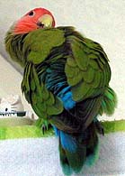 ����܂��E�E�E(^^;;;