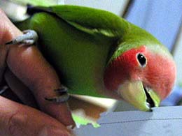 �Ȃ�āA��p�ȑ̐��ŁE�E�E(^^;;;