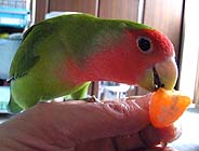 �܁A�������[����A�������I(^-^;