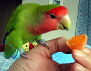 ����A����Ȃ񂾂����H