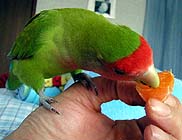 �Ȃ񂾂��������Ȃ��A�A�A