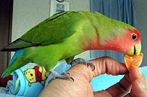 �������`�񂾂��ǂ��A�A�A