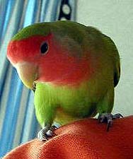 �܂܂��A���߂�˂��B�B