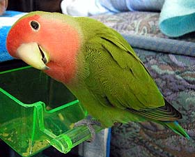 �˂��˂��A�S�L�Q�������Ă��ꂽ���H