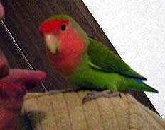 ����������A�����邾�낤�Ȃ��`�B�B