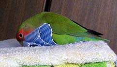 ����`�����Ȃ�������I