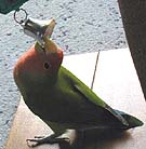 �ڂ��͂�����ł�`���Ɓ�