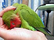 ���������S�n���A���肪�Ɓ`�������܂������`�B�B