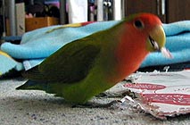 ���`�̂����`�񂾂Ȃ��`��