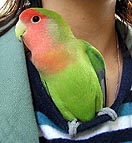 �����A����������܂Ȃ��ƂˁA�}�}�������񂾂��āI