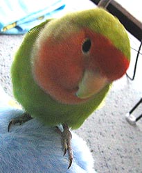 �����������������悧�`�`�`