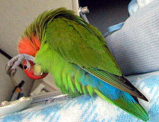 �������A�Z�������`