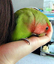 �}�}�̂����A���カ�Ȃ񂾂Ȃ��B�B