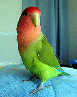 �}�}�A���J���ā`�I