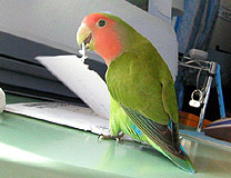 �͂��A��΂������A�A�݂�������������I