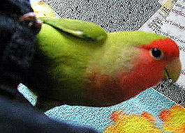 ���ꂥ�`�A�܂܍����A�������`���x�݂Ȃ̂��H